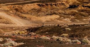 打破小贝纪录，布鲁日前锋福布斯是欧冠对巴萨传射最年轻球员